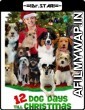 12 Dog Days Till Christmas (2014) UNCUT Hindi Dubbed Movie