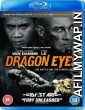 Dragon Eyes (2014) Hindi Dubbed Movies