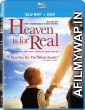 Heaven Is for Real (2014) Hindi Dubbed Movie