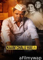 Kaam Chalu Hai (2024) Hindi Movie